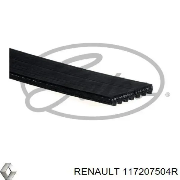 Клиновий ремінь Renault (RVI) 117207504R ціна, від 19.61 USD