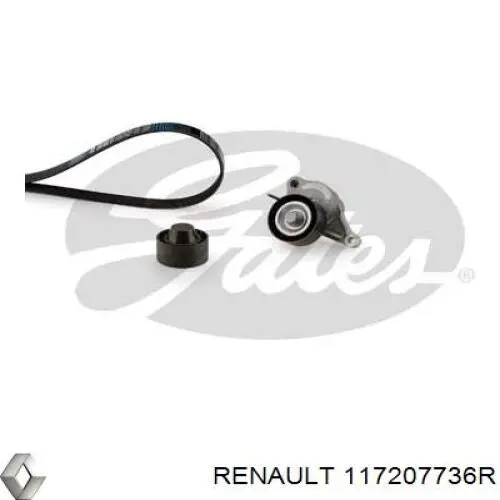 Ремінь приводний, агрегатів, комплект Renault (RVI) 117207736R ціна, від 97.49 USD