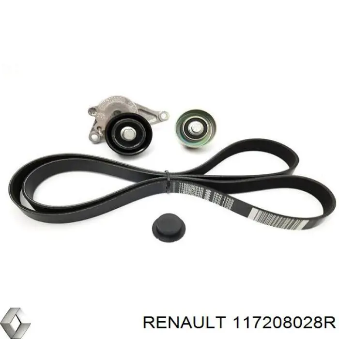117208028R Renault (RVI) Ремінь приводний, агрегатів, комплект