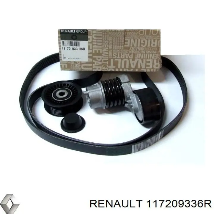 117209336R Renault (RVI) Ремінь приводний, агрегатів, комплект