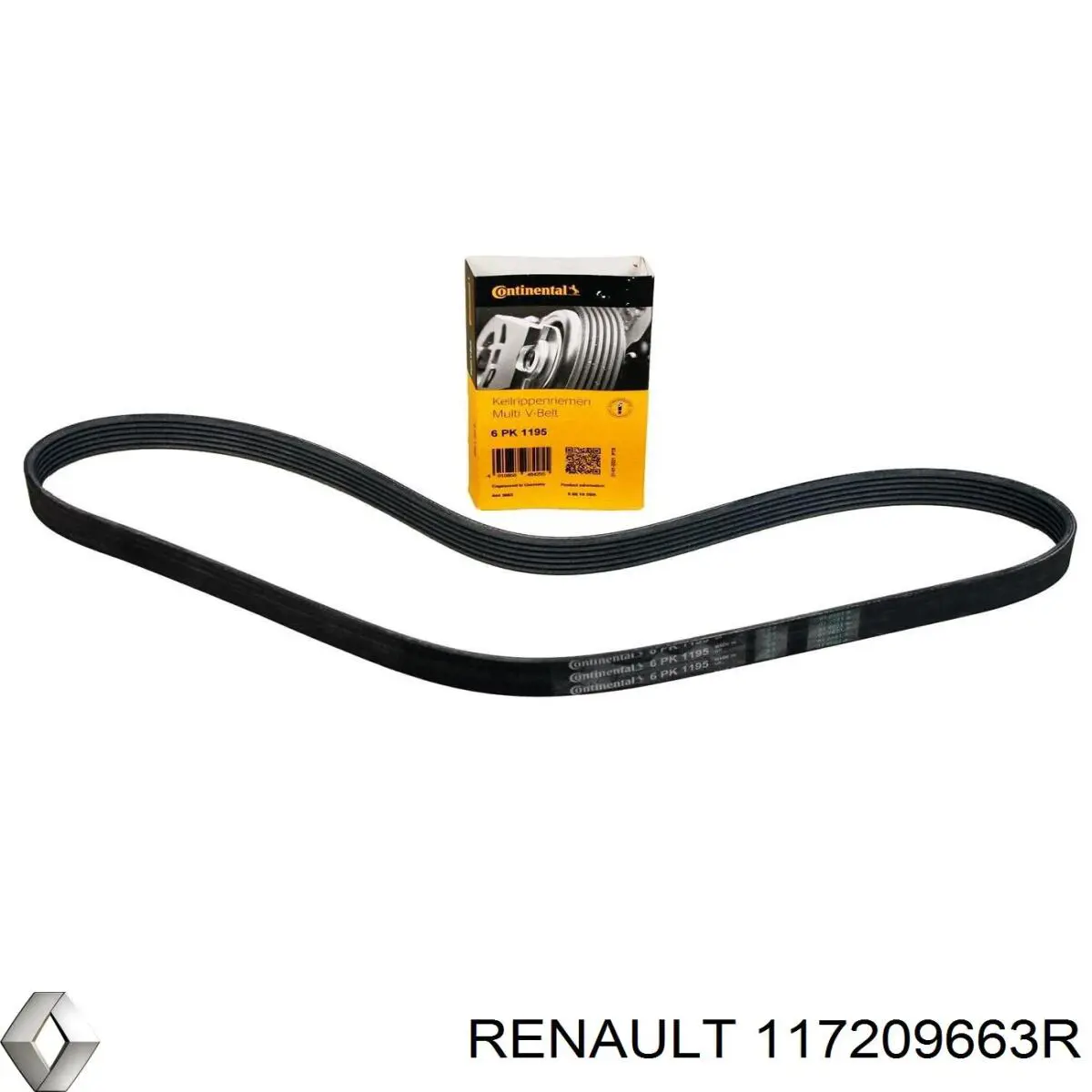  117209663R Renault (RVI)