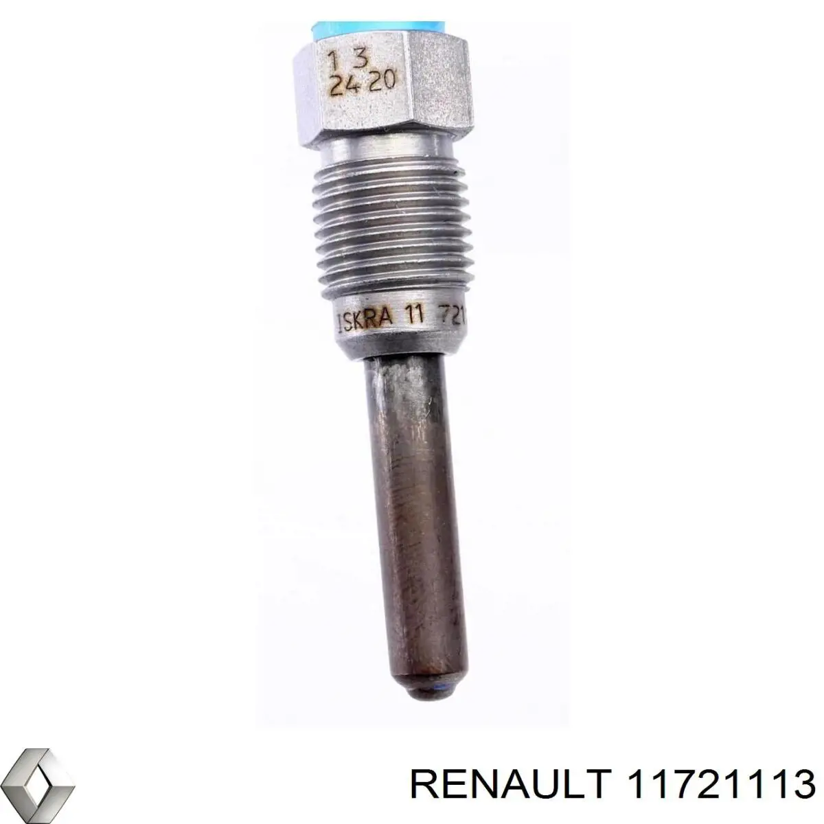  11721113 Renault (RVI)