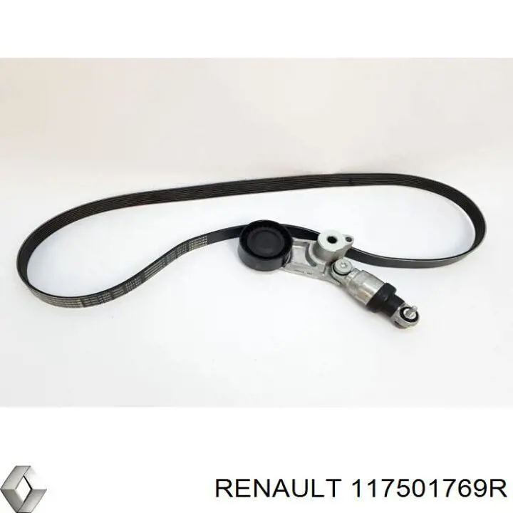 117501769R Renault (RVI) 