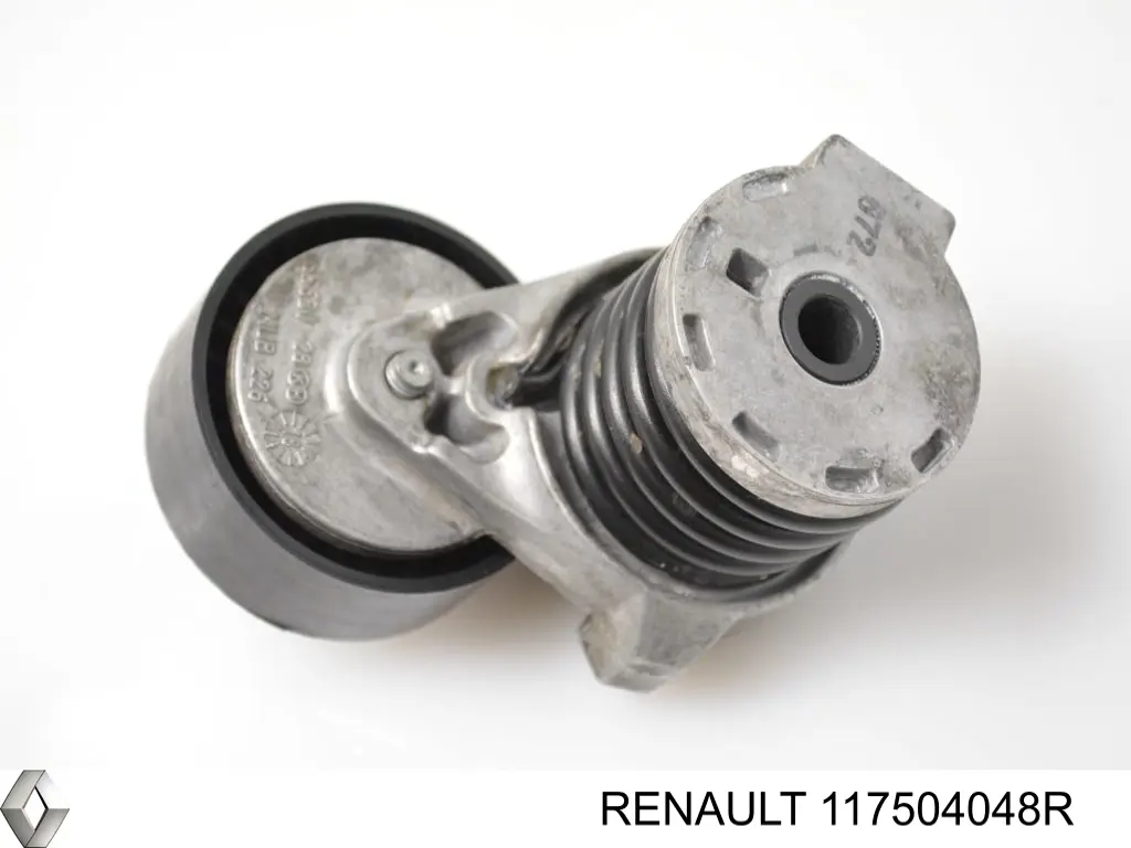  117504048R Renault (RVI)