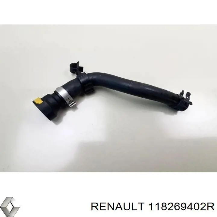 118269402R Renault (RVI) 