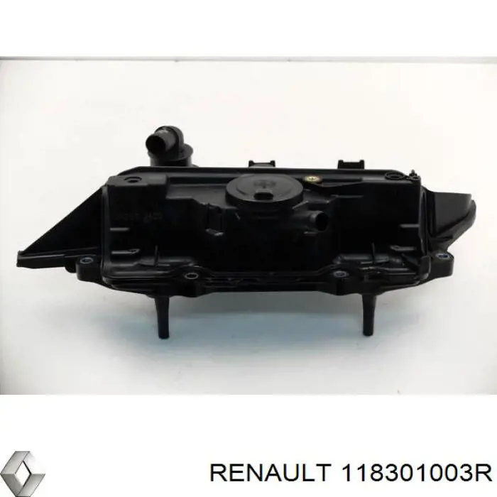 118301003R Renault (RVI) масловіддільник