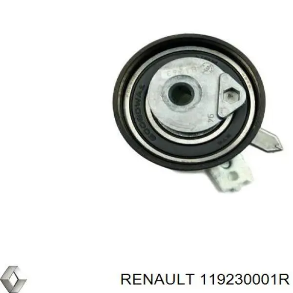 Купити 119230001R Renault (RVI) Ролик приводного ременя, паразитний