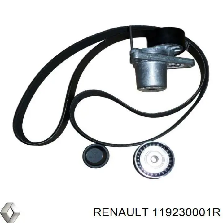 Ролик приводного ременя, паразитний 119230001R Renault (RVI)
