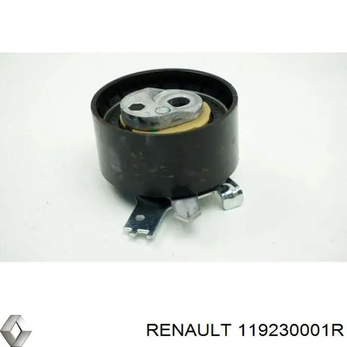 Ролик приводного ременя, паразитний Renault (RVI) 119230001R