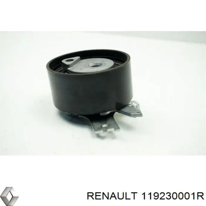 Купити 119230001R Renault (RVI) Ролик приводного ременя, паразитний