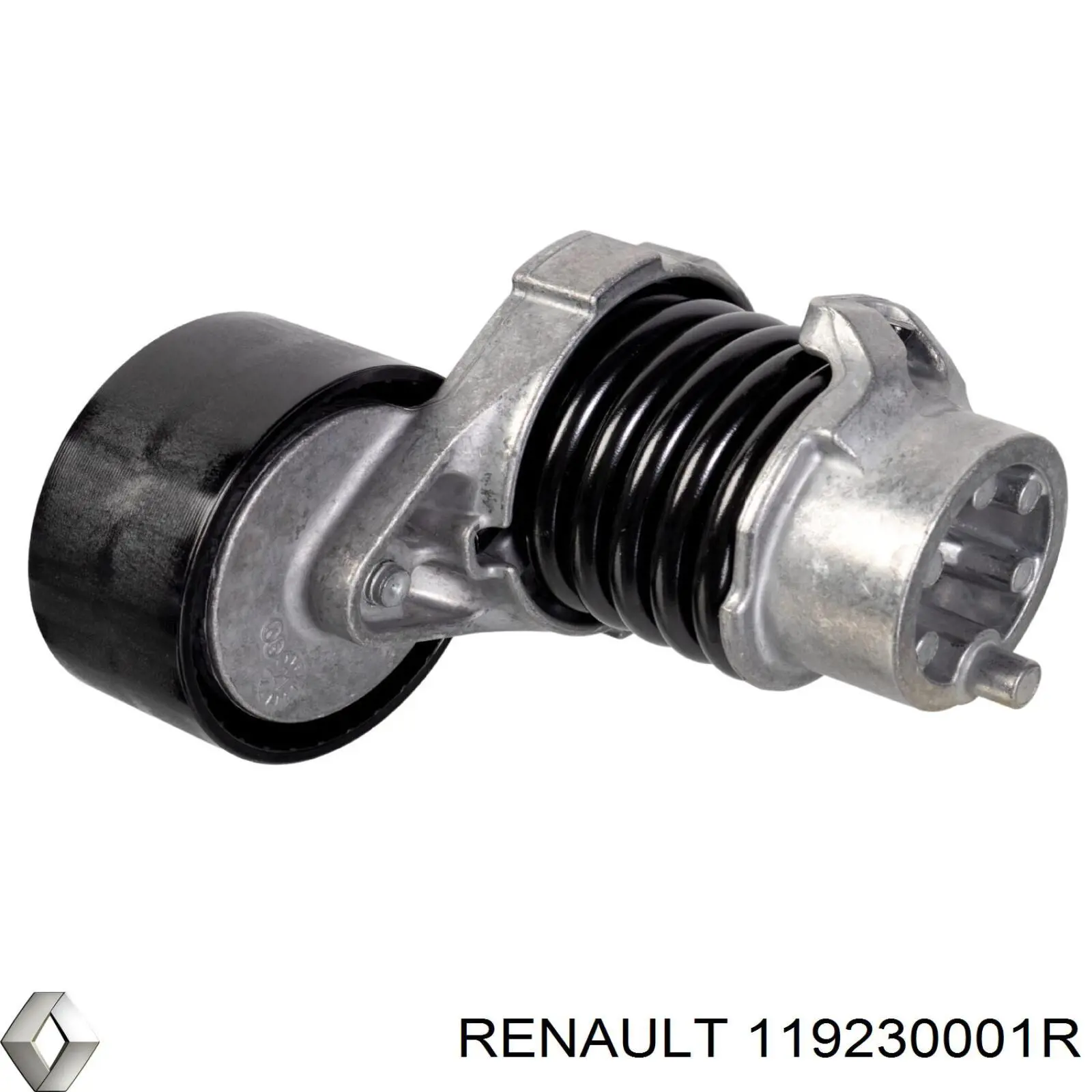 119230001R Renault (RVI) Ролик приводного ременя, паразитний