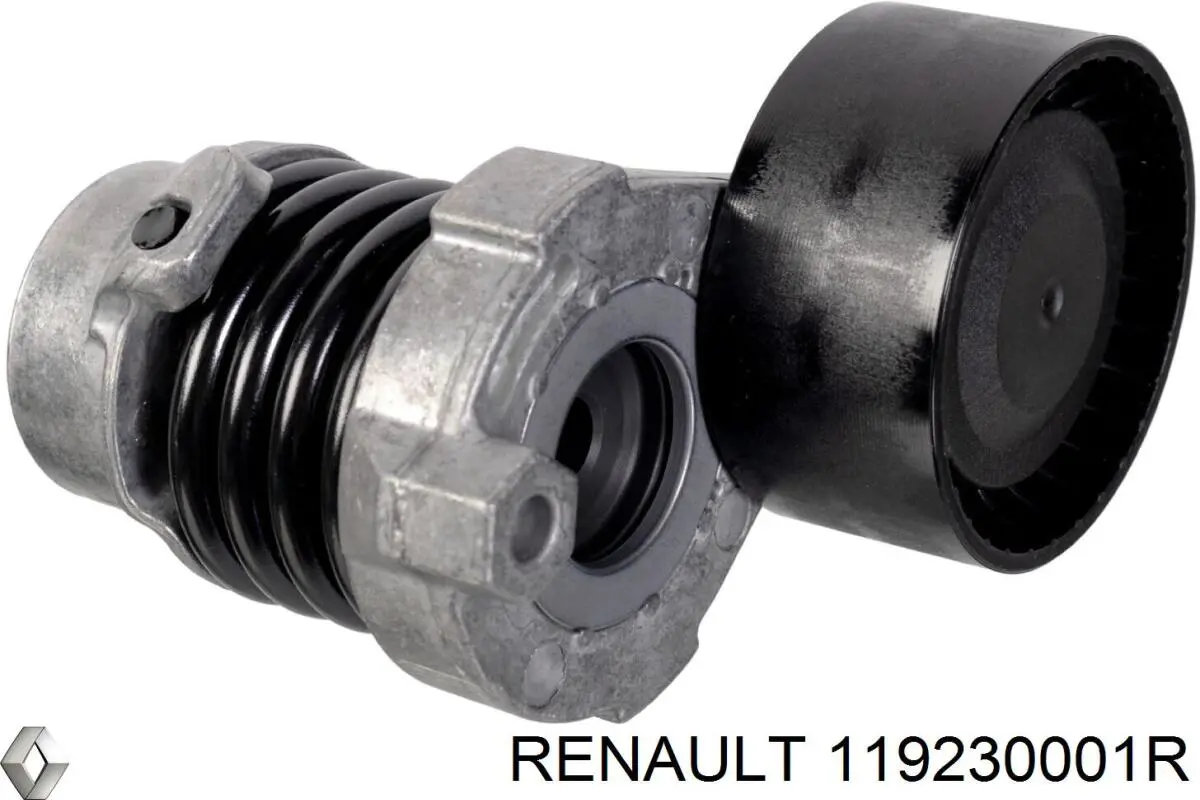 Ролик приводного ременя, паразитний Renault (RVI) 119230001R ціна, від 24.48 USD