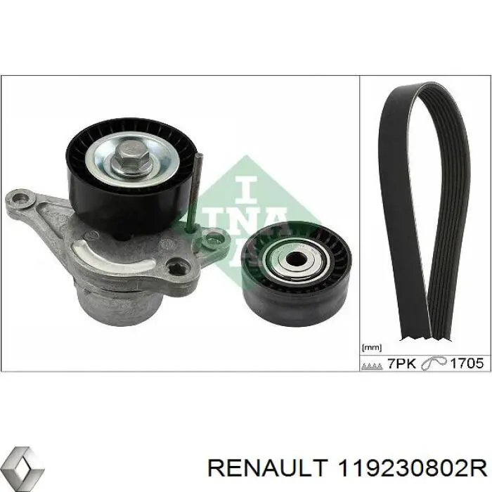 119230802R Renault (RVI) ролик приводного ременя, паразитний