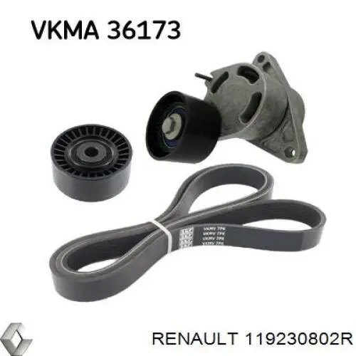 Купити 119230802R Renault (RVI) Ролик приводного ременя, паразитний