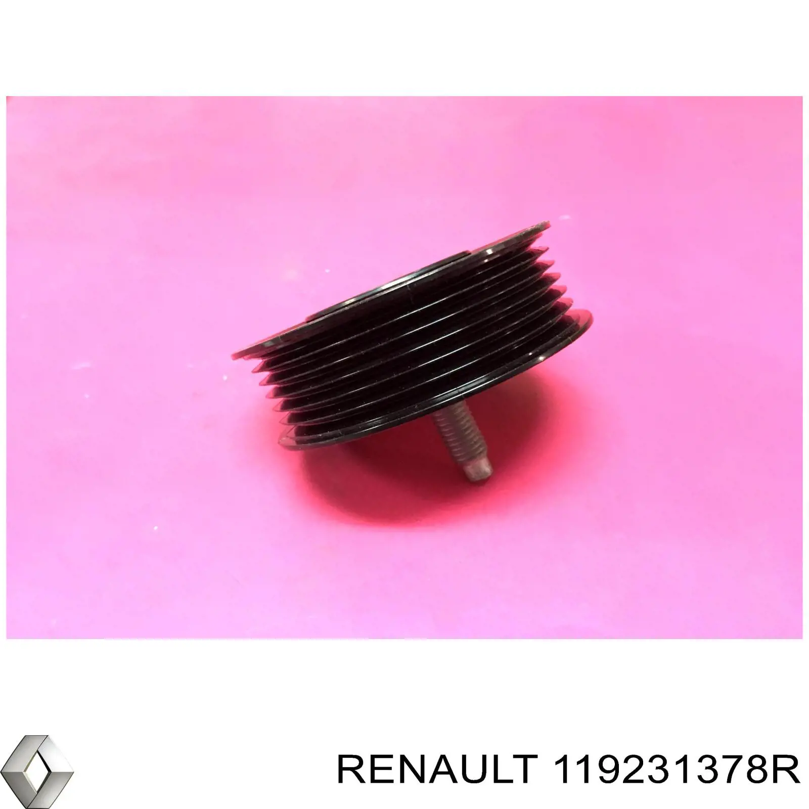 Купити 119231378R Renault (RVI) Ролик приводного ременя, паразитний