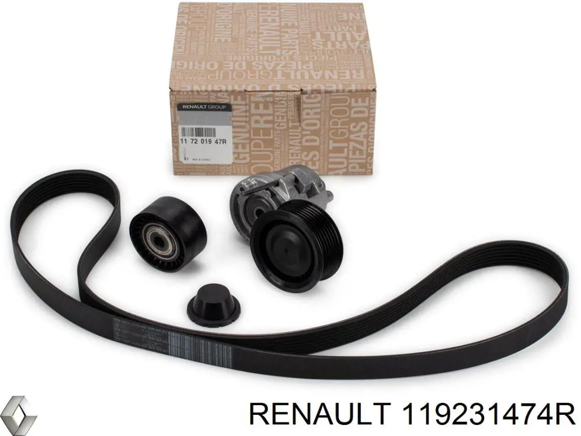 Ремінь приводний, агрегатів, комплект INA 529043510 ціна, від 134.70 USD