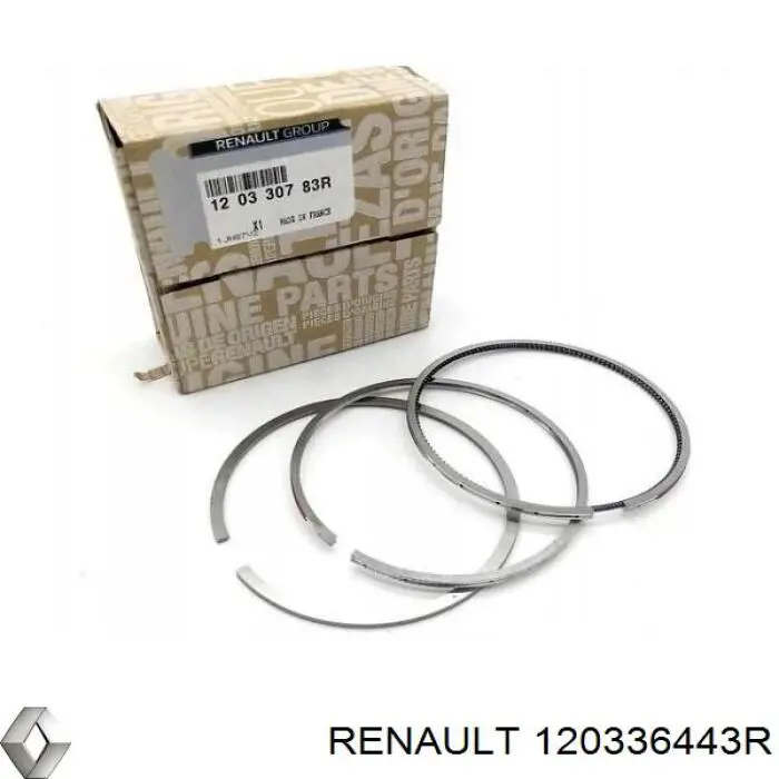 Кільця поршневі на 1 циліндр, STD. 120336443R Renault (RVI)