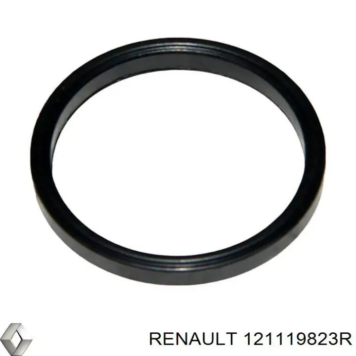  121119823R Renault (RVI)
