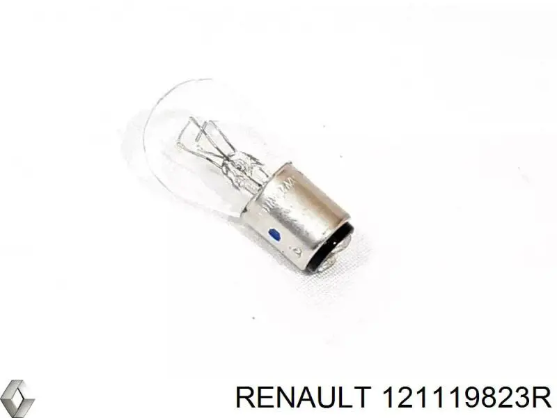 Купити 121119823R Renault (RVI) 