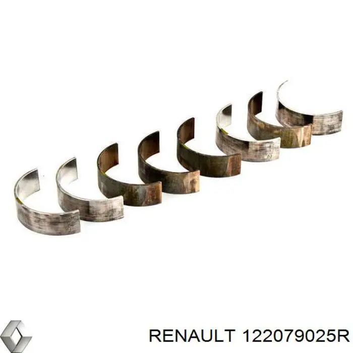  122079025R Renault (RVI)