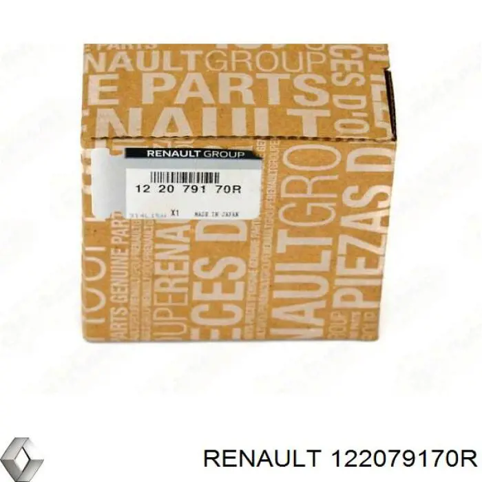 122079170R Renault (RVI) вкладиші колінвала, шатунні, комплект, стандарт (std)