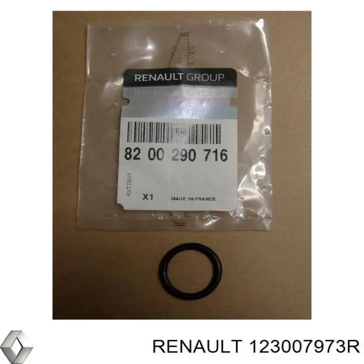  123007973R Renault (RVI)