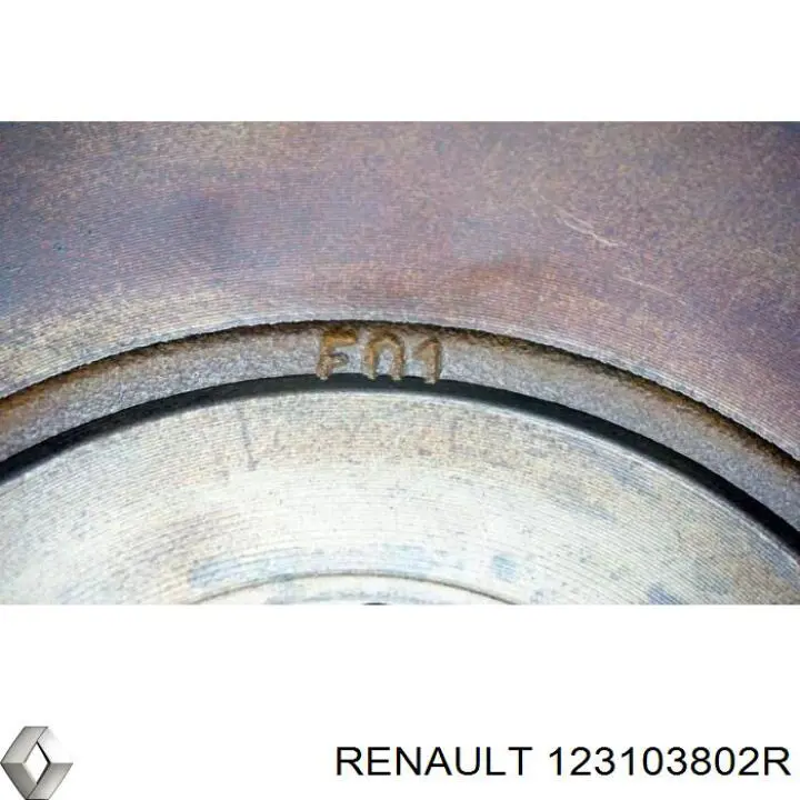  123103802R Renault (RVI)