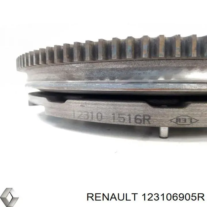 123106905R Renault (RVI) 