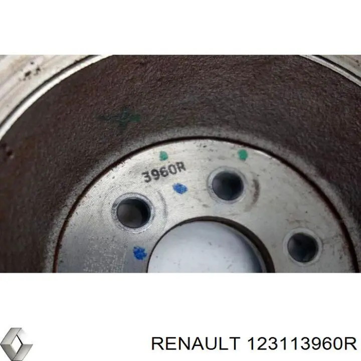 123113960R Renault (RVI) 