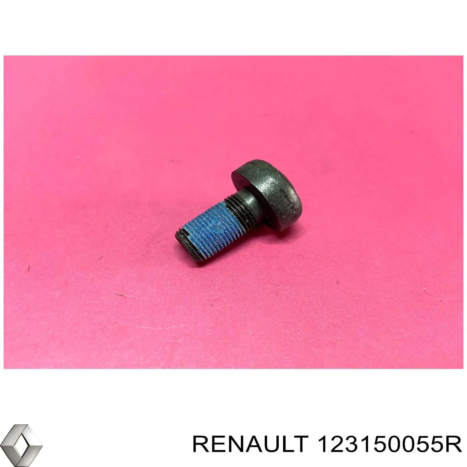 Болт кріплення маховика Renault (RVI) 123150055R ціна, від 6.00 USD
