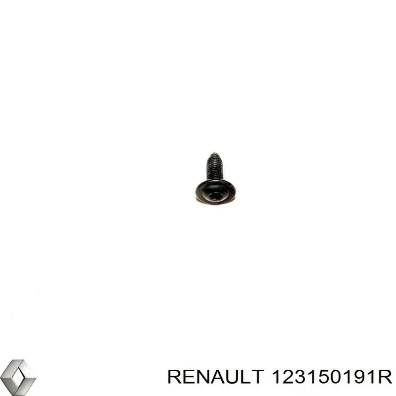  123150191R Renault (RVI)