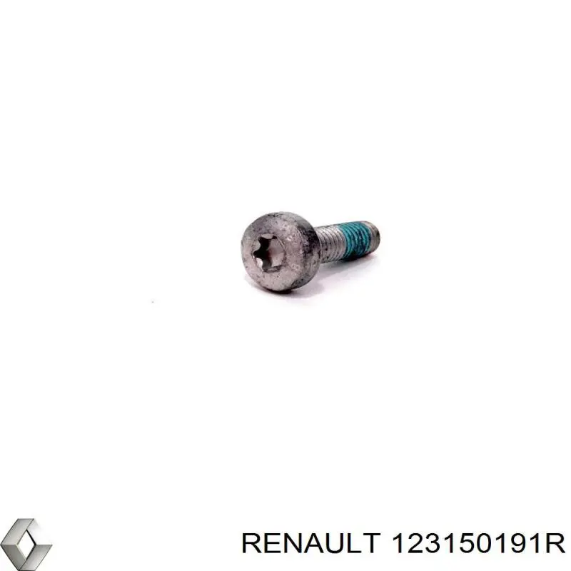 123150191R Renault (RVI) 