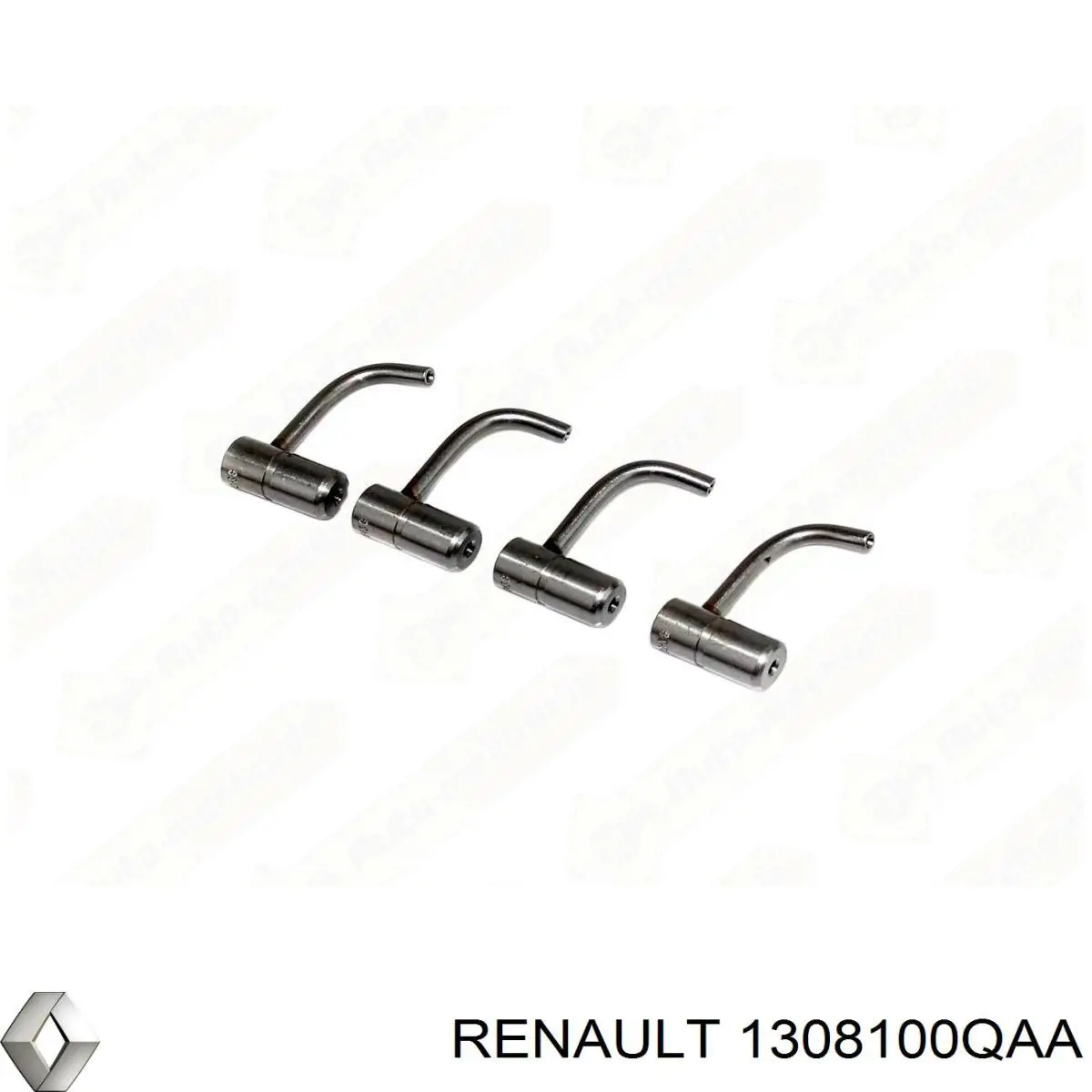 1308100QAA Renault (RVI) 