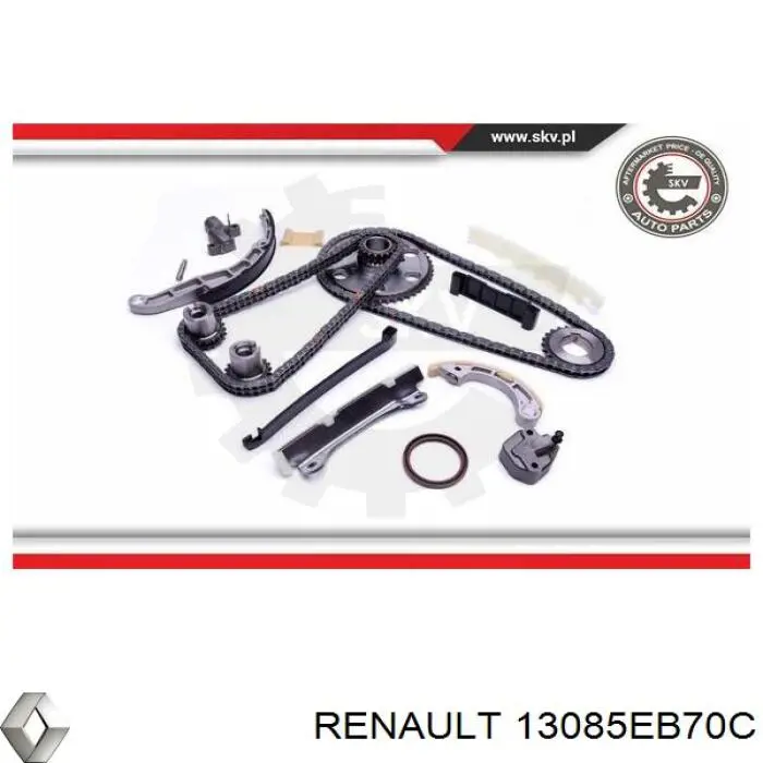 Заспокоювач ланцюга ГРМ, лівий Renault (RVI) 13085EB70C ціна, від 7.32 USD