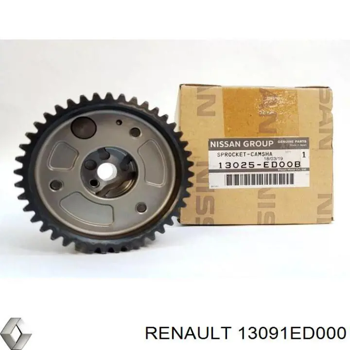 Башмак натягувача ланцюга ГРМ Renault (RVI) 13091ED000 ціна, від 22.93 USD