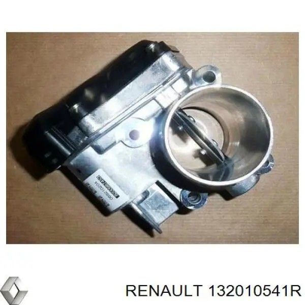 132010541R Renault (RVI) 