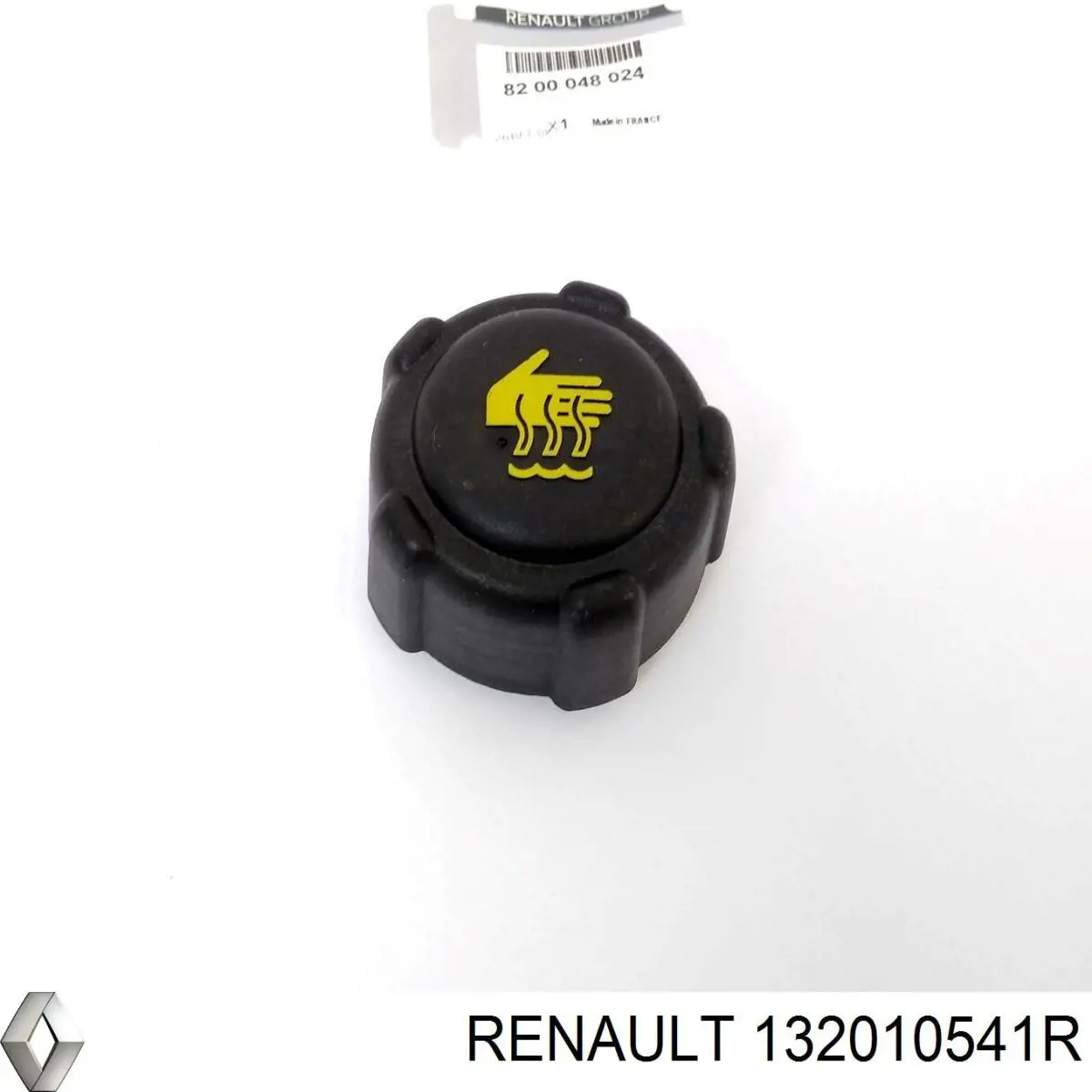  132010541R Renault (RVI)