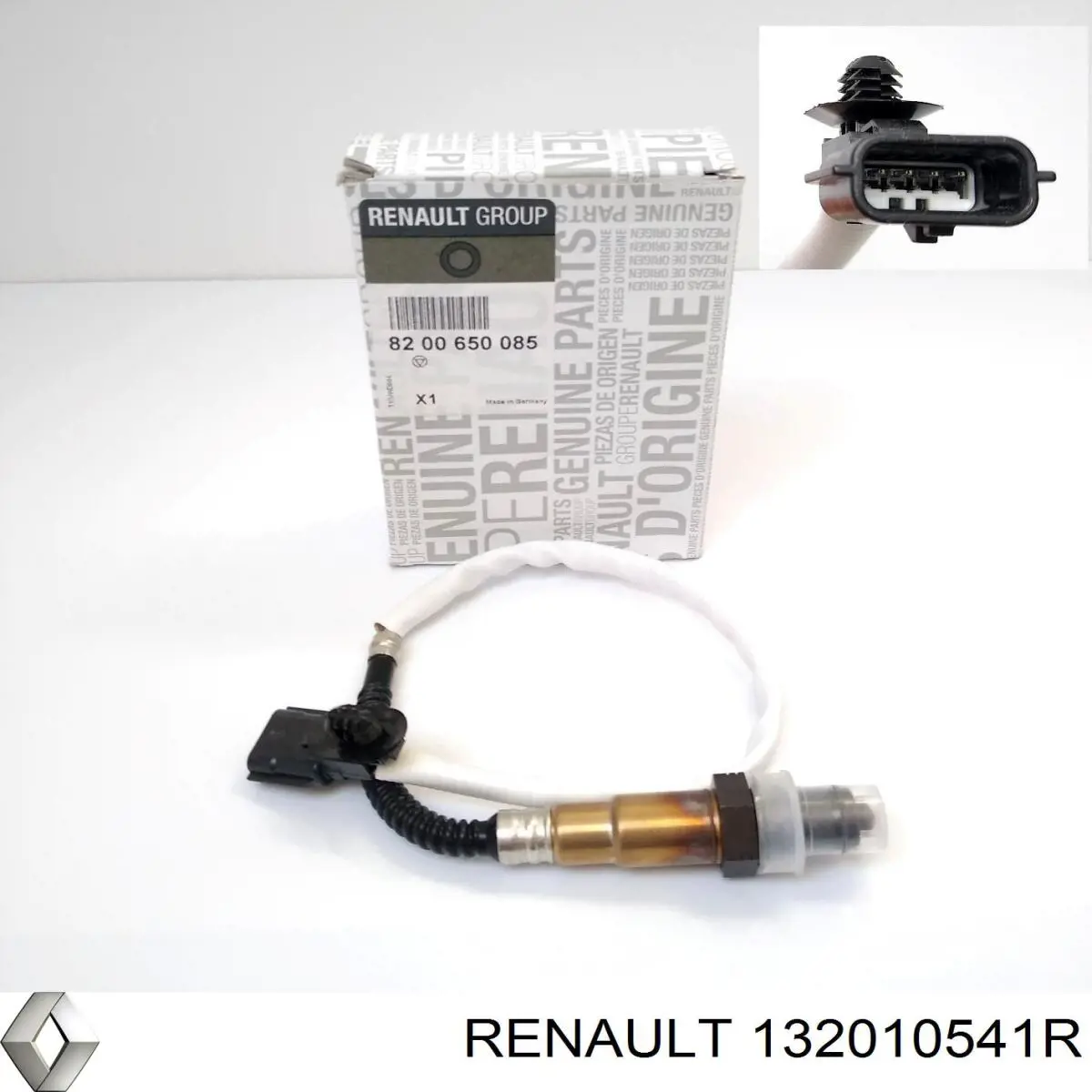 132010541R Renault (RVI) 