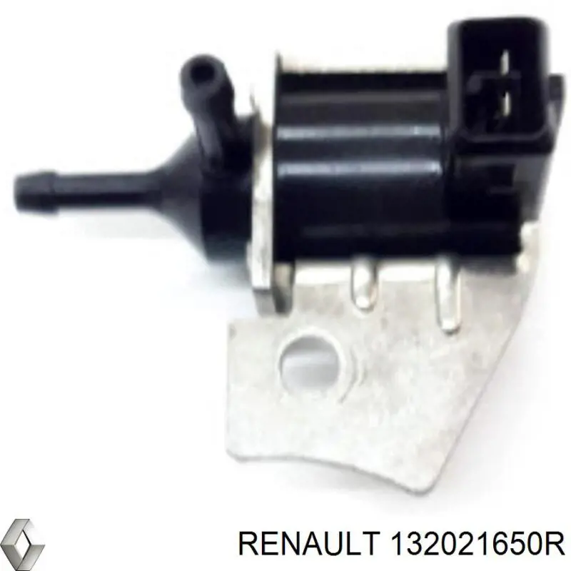 132021650R Renault (RVI) 