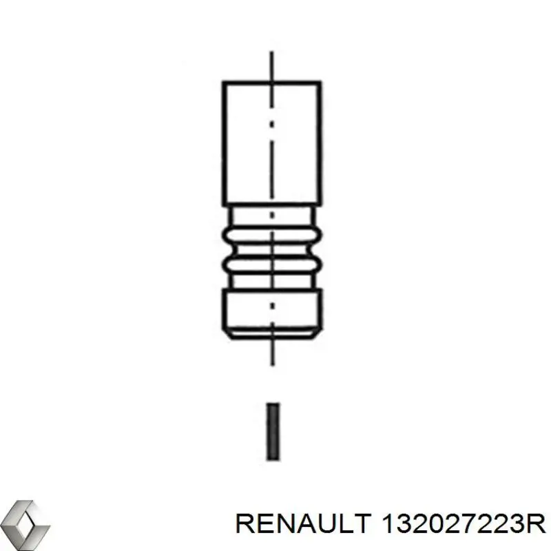 Клапан випускний PDAC019B0N AMP/Paradowscy