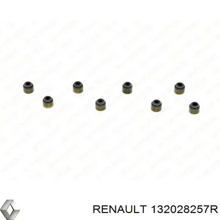 Вихлопний клапан Renault (RVI) 132029606R ціна, від 12.01 USD