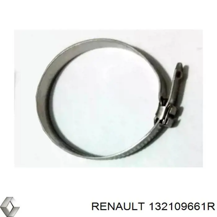 132109661R Renault (RVI) 
