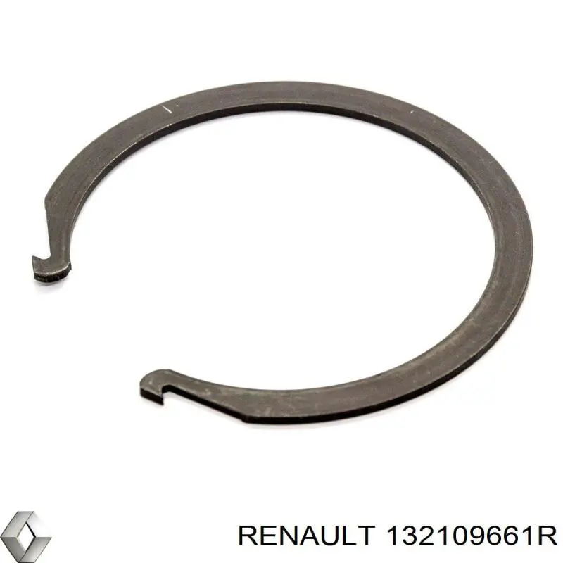 132109661R Renault (RVI)