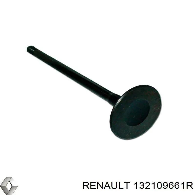  Renault (RVI) 132109661R