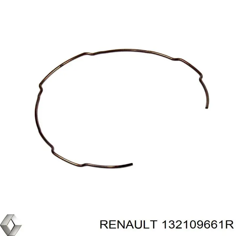  Renault (RVI) 132109661R ціна, від 1.78 USD