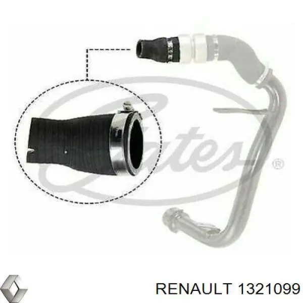 Купити 1321099 Renault (RVI) 