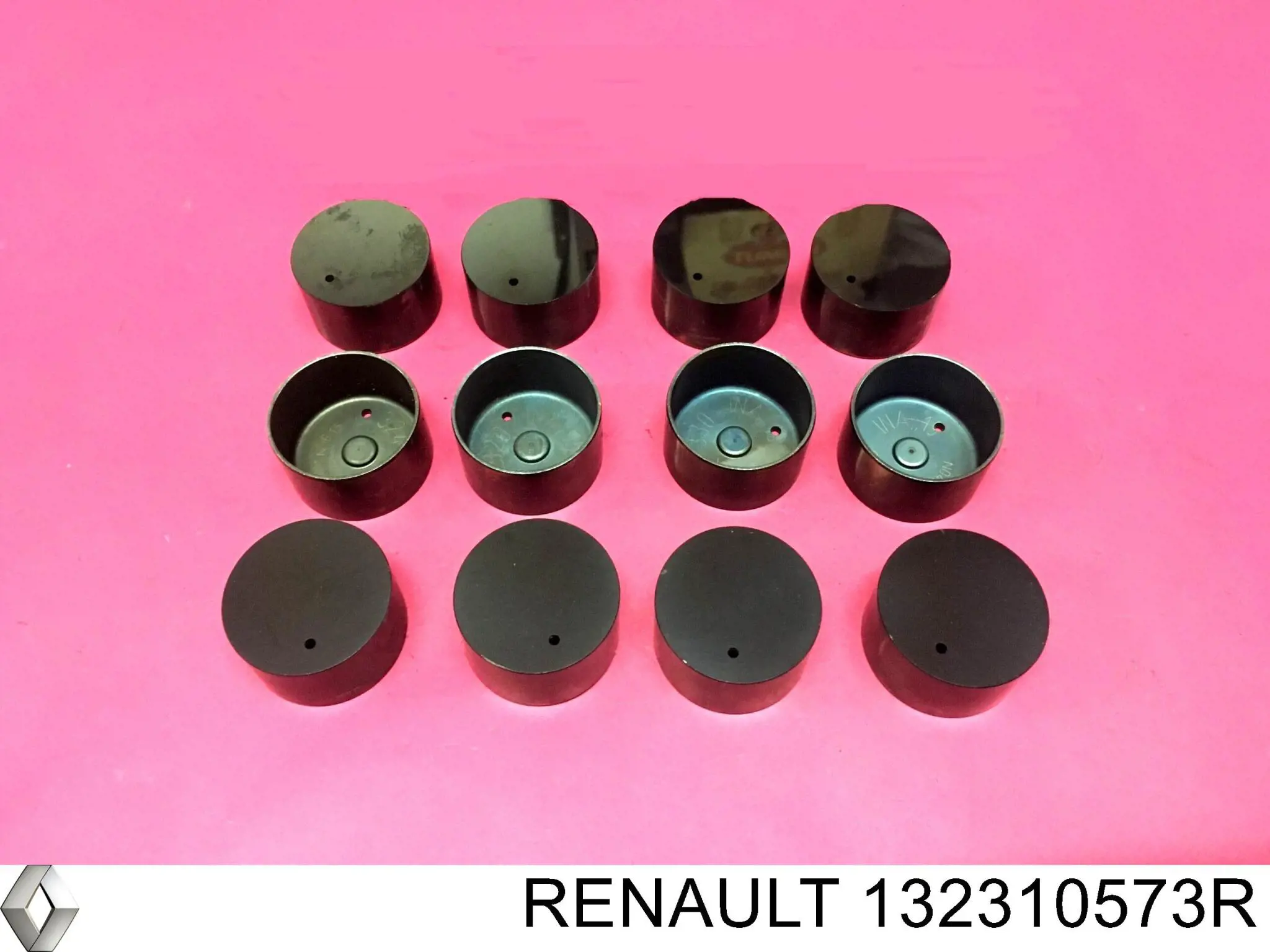 132310573R Renault (RVI) Гідрокомпенсатор