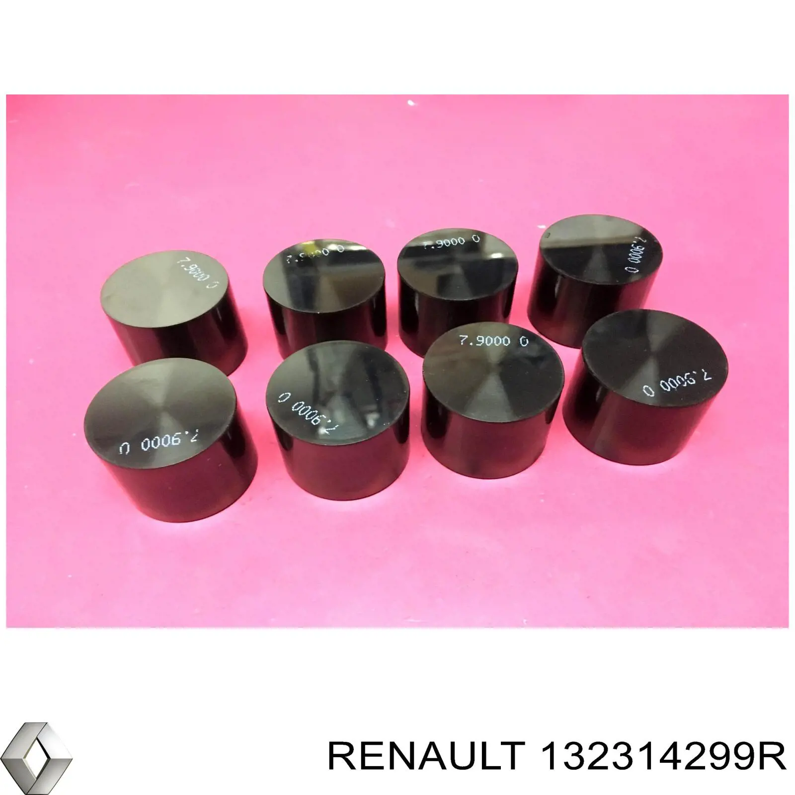 132314299R Renault (RVI) 