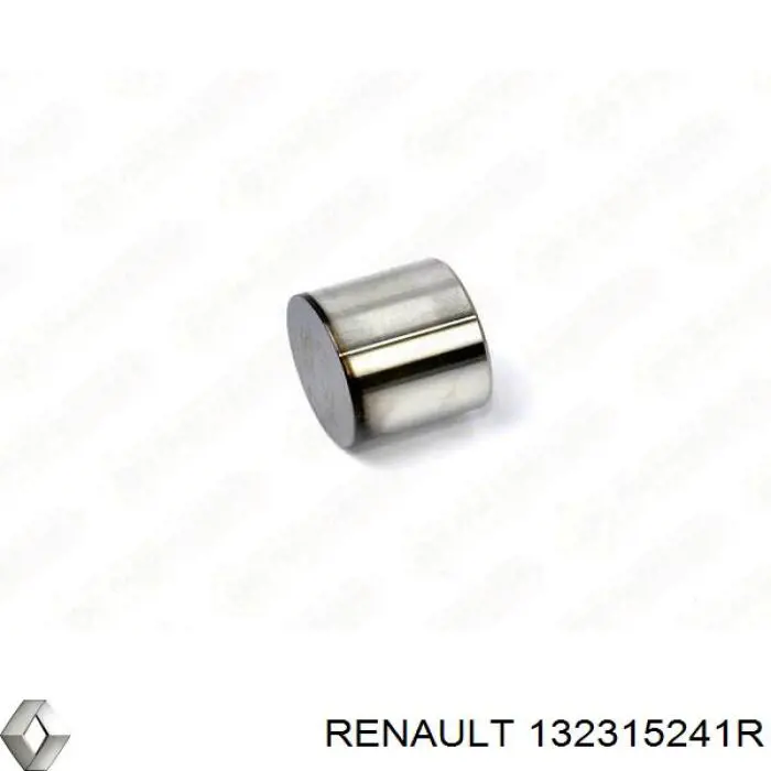 Купити 132315241R Renault (RVI) Штовхач клапанів двигуна