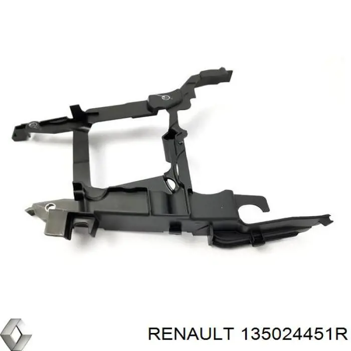 Захист ременя ГРМ, внутрішній Renault Scenic 3 (JZ0) (Рено Сценік)